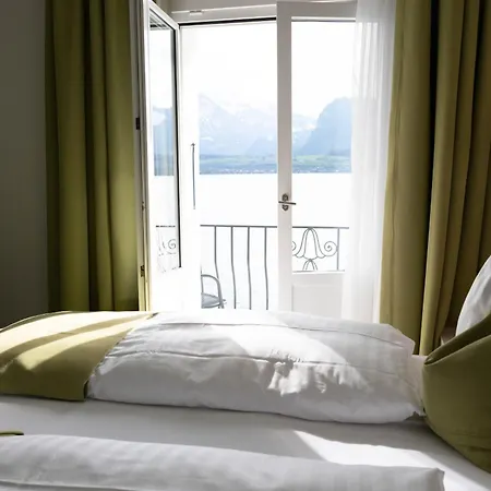 Restaurant Bellevue Au Hotel 3*