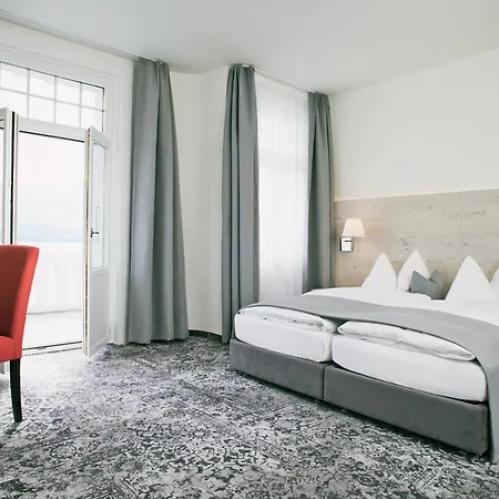 Hotel Restaurant Bellevue Au 3*