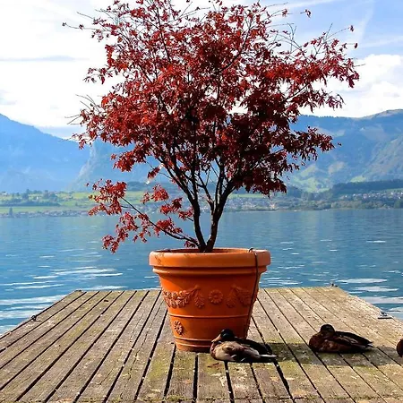 Restaurant Bellevue Au Thun
