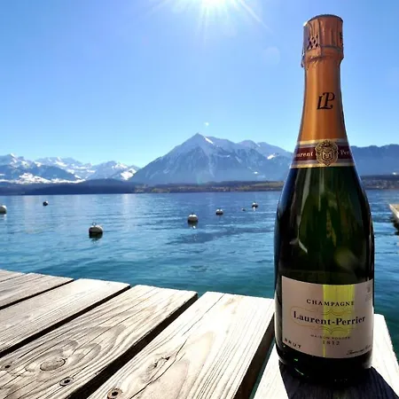 贝尔维尤莱克酒店及餐厅