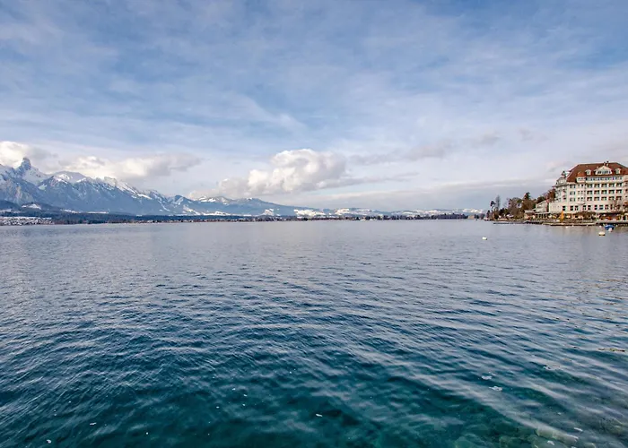 Restaurant Bellevue Au 3*