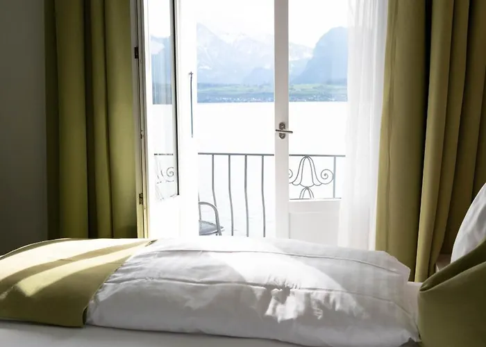 Restaurant Bellevue Au Hotel 3*