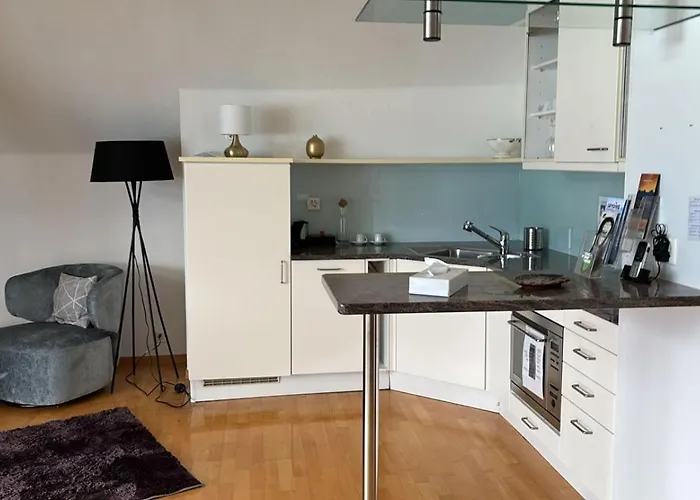 Restaurant Bellevue Au 3*