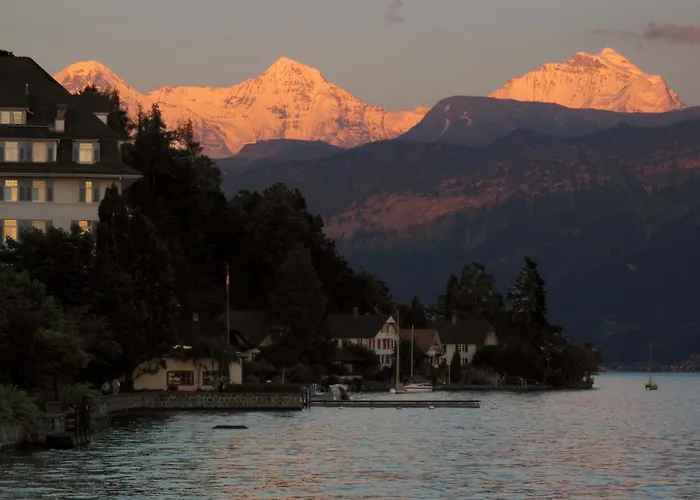 Restaurant Bellevue Au Hotel 3*