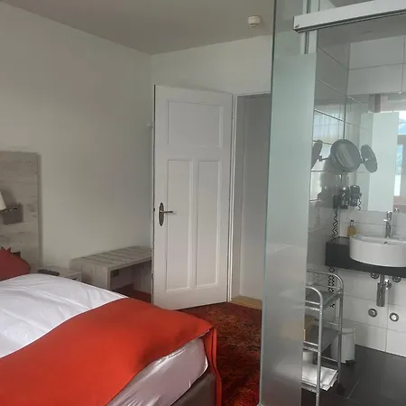 Hotell Restaurant Bellevue Au Hilterfingen